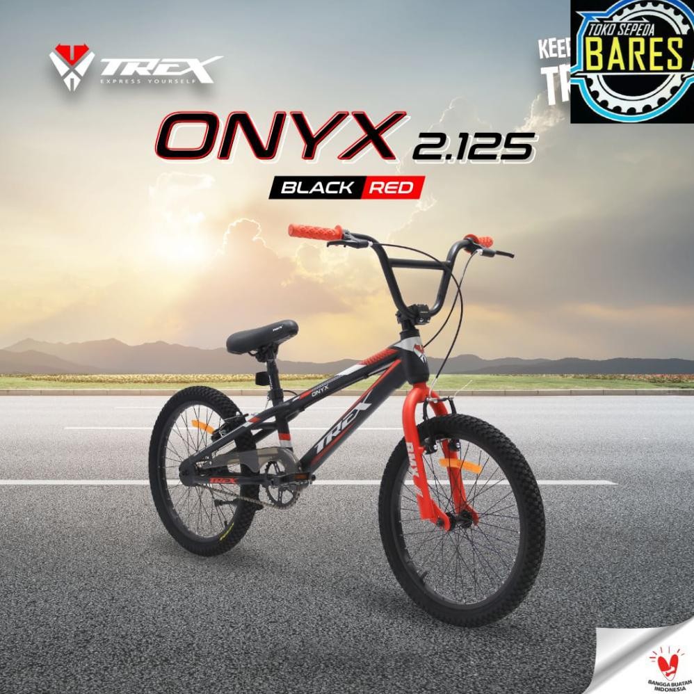 Sepeda BMX Anak 20 Genio GX02 / GX05 Trex Onyx
