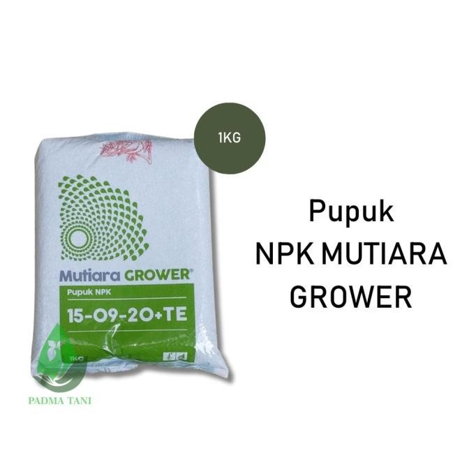 

Terlaris Pupuk Npk Mutiara Grower 15 09 20 Te Dari Meroke Tetap Jaya Isi 1Kg -Reoack