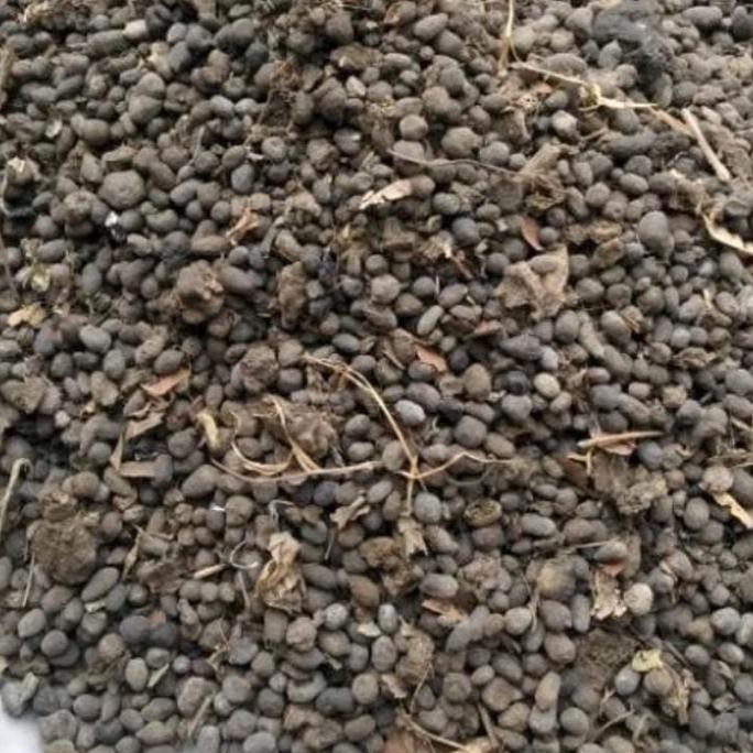 

Terlaris 1 Kilo Pupuk Kandang Kotoran Kambing Ori