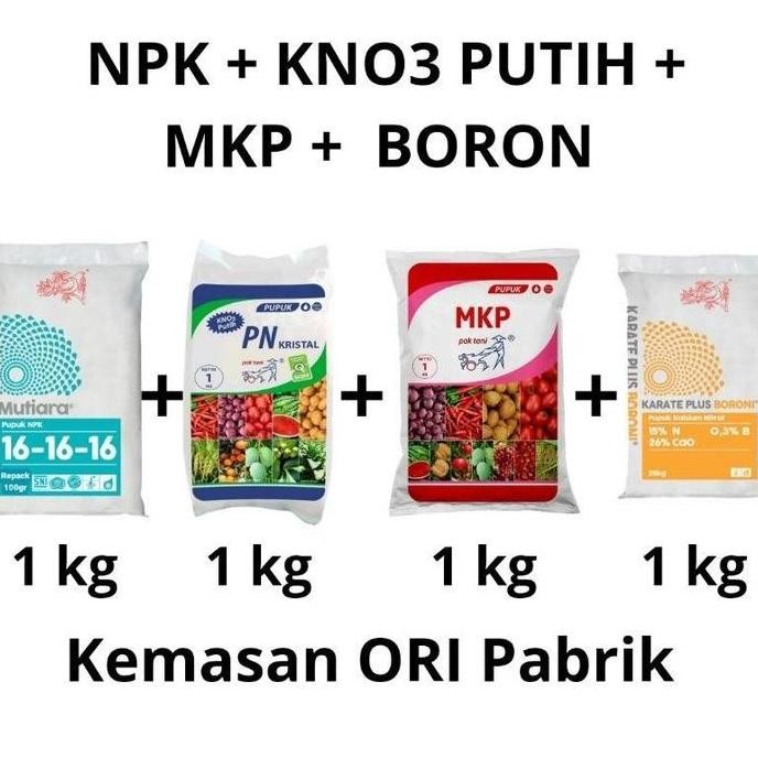 

Terlaris Paket Lengkap Pupuk Pertumbuhan & Pembuahan Npk Mutiara 16-16-16 +Kno3 Putih + Mkp Pak Tani + Boron Paket Pupuk Anggur, Durian, Alpukat, Jambu , Cabe , Tomat Dll Kemasan 1Kg Ori Pabrik (Total4Kg)