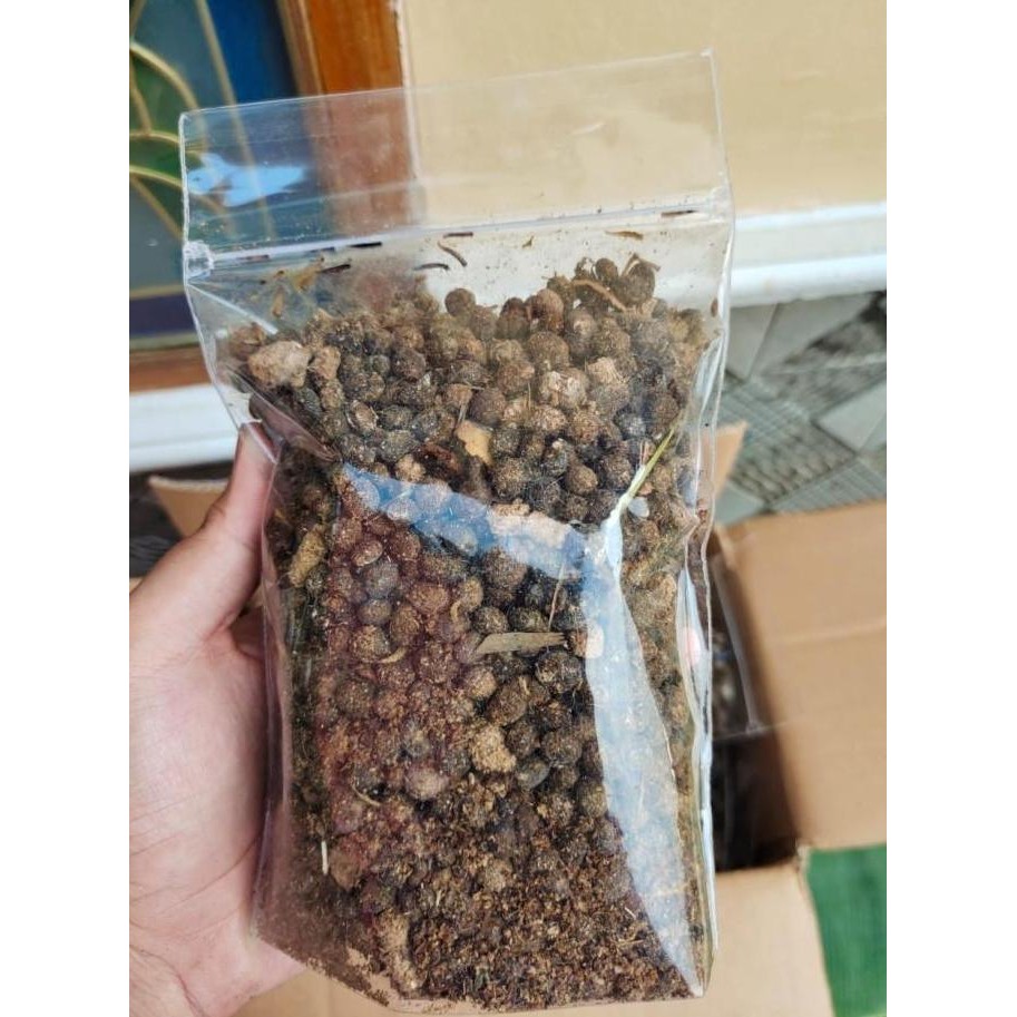 

Terlaris Pupuk Kandang Murni Organik Kotoran / Tai Kelinci Tanaman Hias 500G