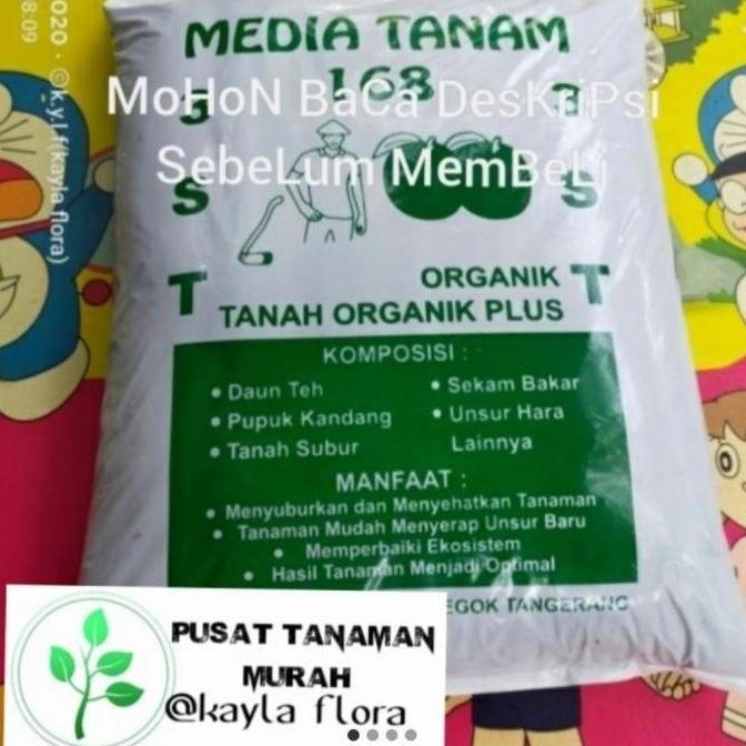 

Terlaris Instan Pupuk Media Tanam / 3Pcs Paket Media Tanam / Pupuk Kandang / Pupuk Laris