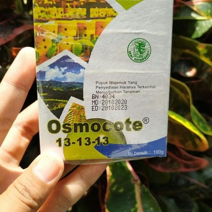 

Terlaris Osmocote ( Dekastar ) 131313 Pupuk Npk Slow Release Asli 100 Gram