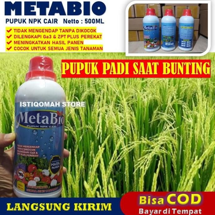 

Terlaris Pupuk Padi Saat Bunting Metabio Isi 500Ml Pupuk Npk Cair Padi Saat Berbunga - Pupuk Semprot Untuk Buah Padi - Pupuk Daun Padi Yang Bagus - Pupuk Untuk Padi Yang Baru Ditanam Anakan Padi Banyak Dan Lebat - Pupuk Fase Vegetatif Padi Yang Bagus