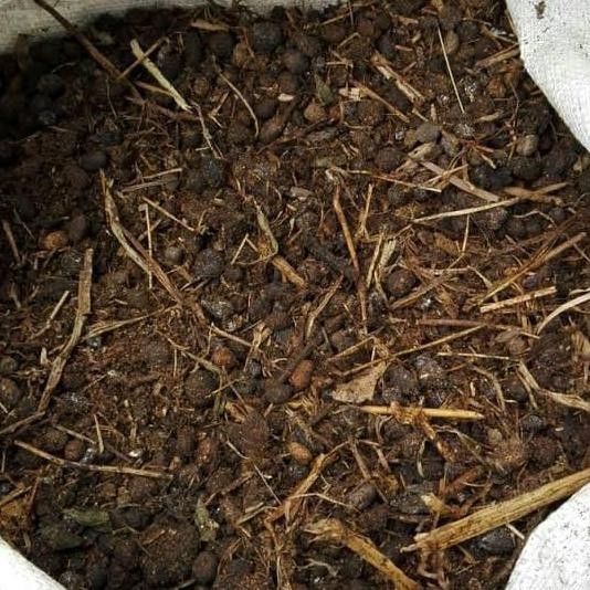 

Terlaris Media Tanaman Pupuk Kandang Kotoran Kambing Asli / Pupuk Kandang Kambing Original Asli