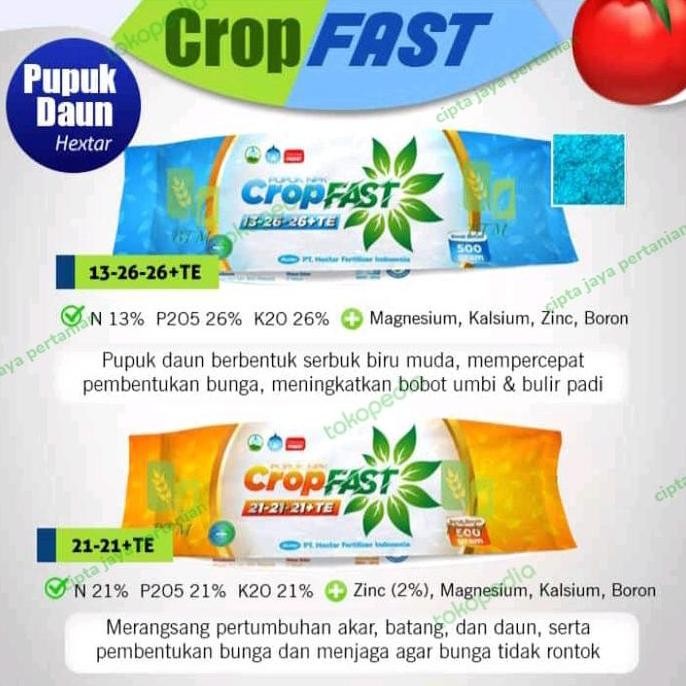 

Terlaris Pupuk Daun Crop Fast Npk 100Gr