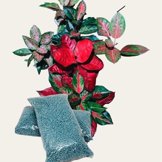 

Terlaris Pupuk Npk Mutiara Lengkap Ag.