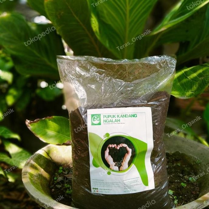 

Terlaris Pupuk Kandang Kambing Difermentasi,Pupuk Kohe Kambing Giling Halus.