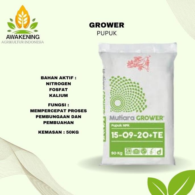 

Terlaris Pupuk Npk Grower Mutiara 50Kg