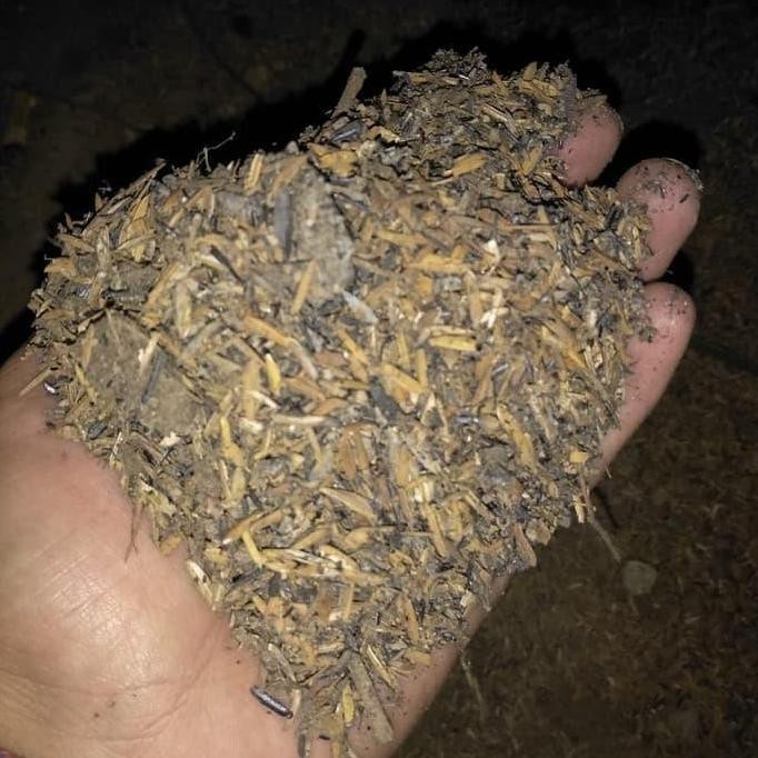 

Terlaris Sekam Bakar Pupuk Kandang Media Tanam Kaktus