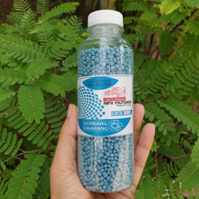

Terlaris Npk Mutiara Biru 16-16-16 Kemasan Botol 250Gr Pupuk Seimbang
