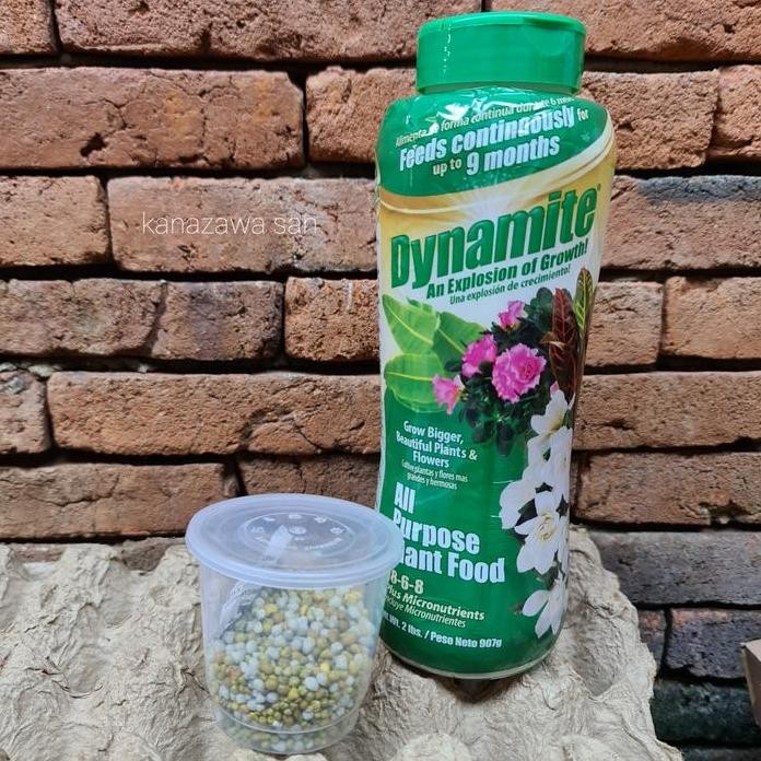 

Terlaris Pupuk Dynamite Hijau Npk 18-6-8 100Gram Repack