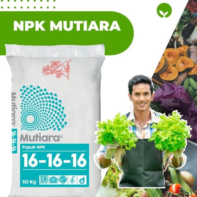 

Terlaris Pupuk Npk Mutiara 16 16 16 Kemasan 1Kg