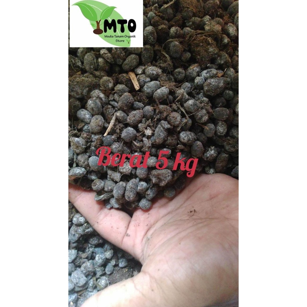 

Terlaris Readystok Pupuk Kandang Kambing Berat 5 Kg Kasar Murni Tanpa Campuran