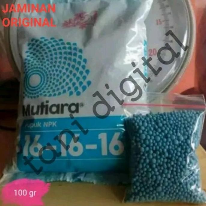 

Terlaris Pupuk Pertumbuhan Bunga Dan Buah Npk Mutiara 16-16-16 Repack 100 Gr
