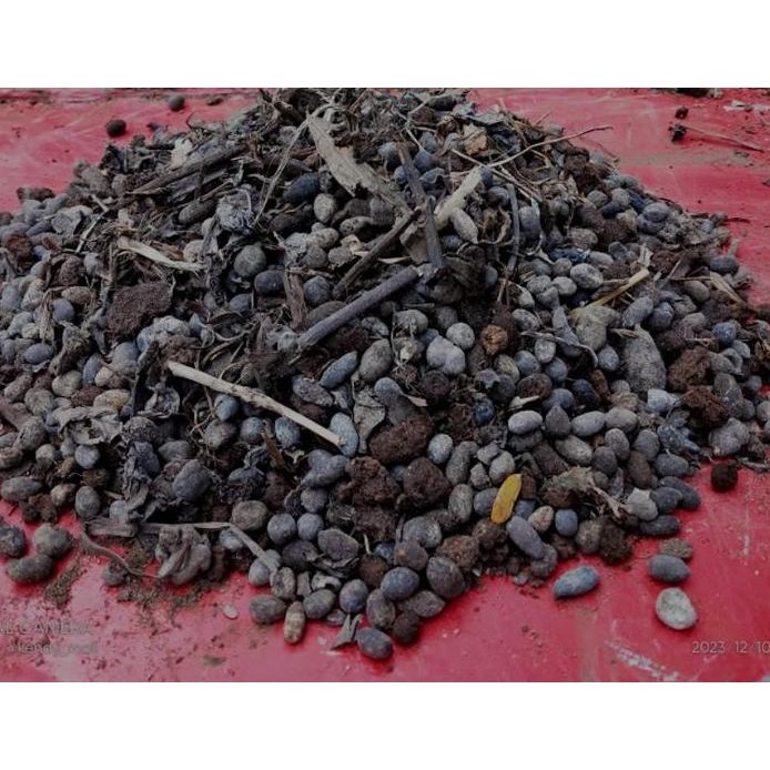 

Terlaris Pupuk Kandang Kering / Pupuk Organik Kotoran Kambing Murni