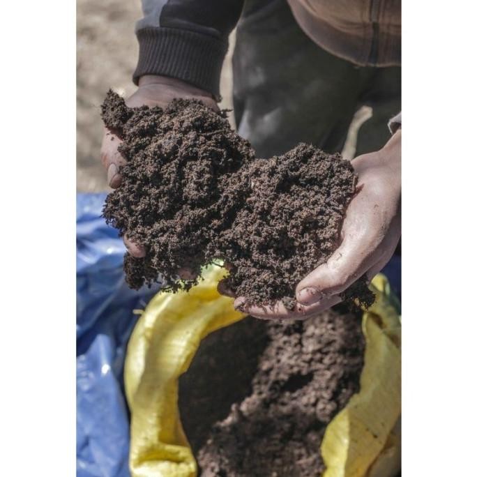 

Terlaris Bacter9 Kohe Pupuk Kandang Murni Halus Booster - Karung Besar