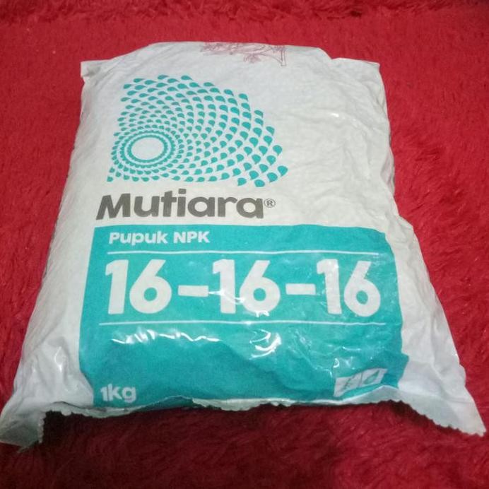 

Terlaris Repack Pupuk Npk Mutiara 16-16-16 Isi 300 Gram Kemasan Botol Plastik