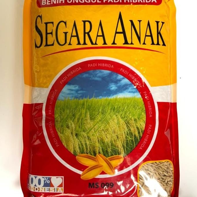 

Terlaris Benih Padi Hibrida Segara Anak Kemasan 1 Kg