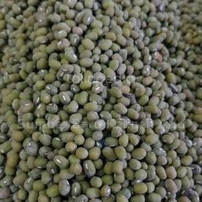 

Terlaris Kacang Hijau Butek 250 Gram