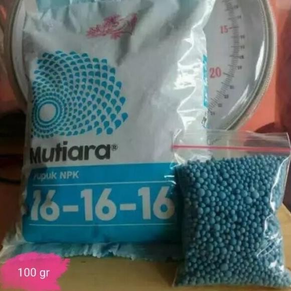 

Terlaris Pupuk Meroke Npk Mutiara 16-16-16 100Gr Unsur Hara Pertumbuhan Tanaman