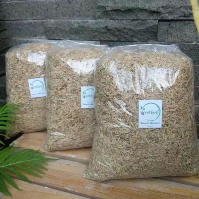 

Terlaris Sekam Padi Berkualitas Untuk Media Tanam Kualitas Bagus