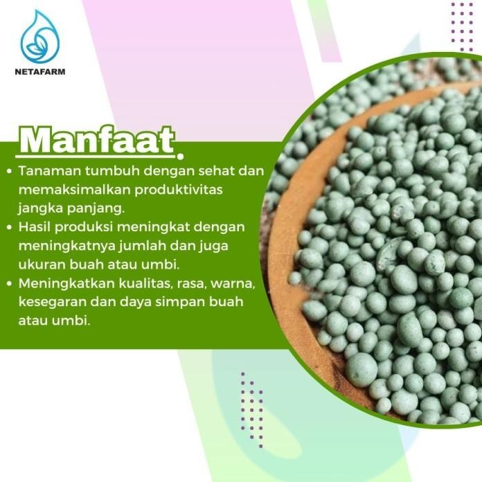 

Terlaris " Pupuk Meroke Mutiara Grower Npk - 1 Kg Kemasan Original Pabrik