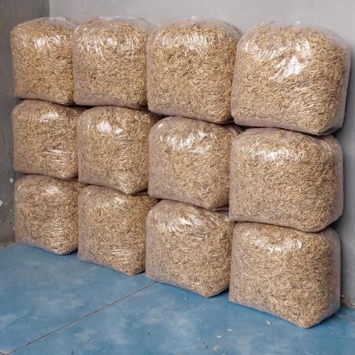 

Terlaris Gabah Sekam Padi Alas Kandang Alas Hewan. Bisa Pupuk Tanaman