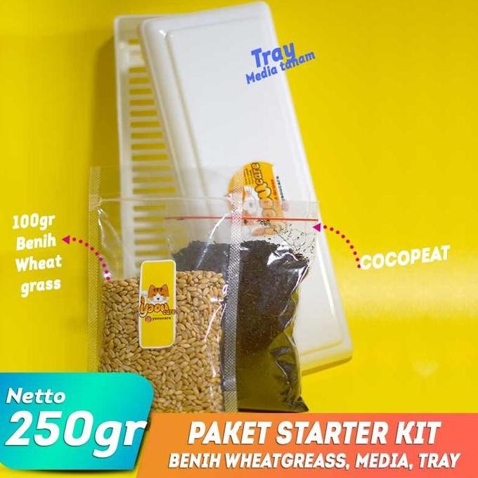 

Terlaris Paket Lengkap Starter Kit Benih Wheatgrass Bibit Rumput Gandum Kucing