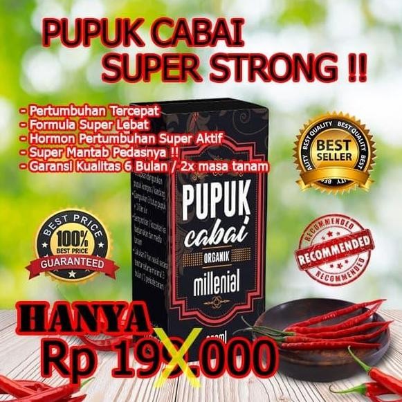 

Terlaris Pemacu Pupuk Kandang Tanaman Cabe / Cabai Super Cepat