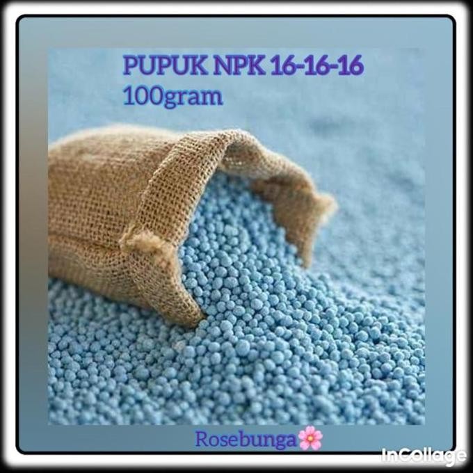 

Terlaris Pupuk Npk Kemasan 200 Gram Tanaman Bunga Buah Dan Daun -Seedstore