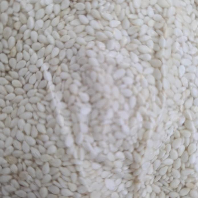 

Terlaris Wijen Putih Repack 100Gr