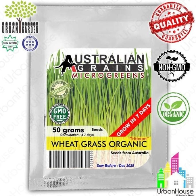 

Terlaris Microgreen-Benih Wheat Grass Organic 50Gr Import Rumput Gandum Organik