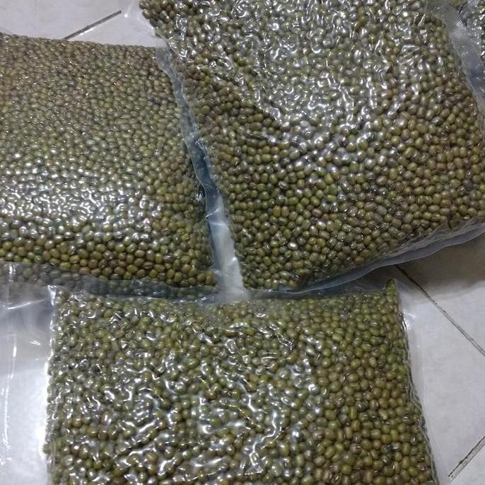 

Terlaris Kacang Hijau 1Kg Kualitas