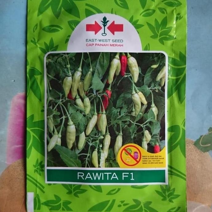 

Benih cabe rawit RAWITA F1 2250 butir cabai hibrida panah merah