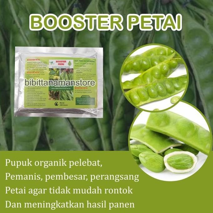 

Pupuk Booster Pohon Pete, Booster Petai Agar Berbuah Lebat