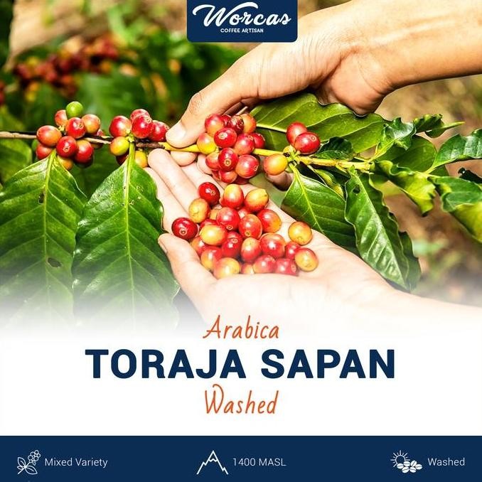 

TORAJA ARABICA GREEN BEAN 1KG (BIJI KOPI MENTAH) TERMURAH