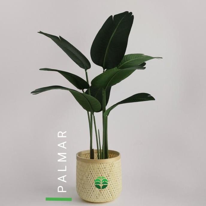 

Pisang Traveller Artifisial Palmar Type B | 110 Cm |Plm-Bnn03/8L120H Co