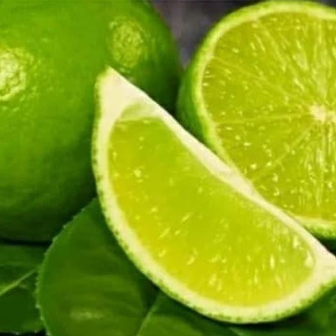 

Terlaris Bibit Pohon Jeruk Nipis Berbuah