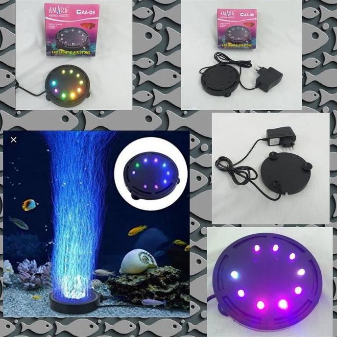 Gelembung Air Aquarium Bulat Dilengkapi Lampu LED AA-Q/Air Stone+LED