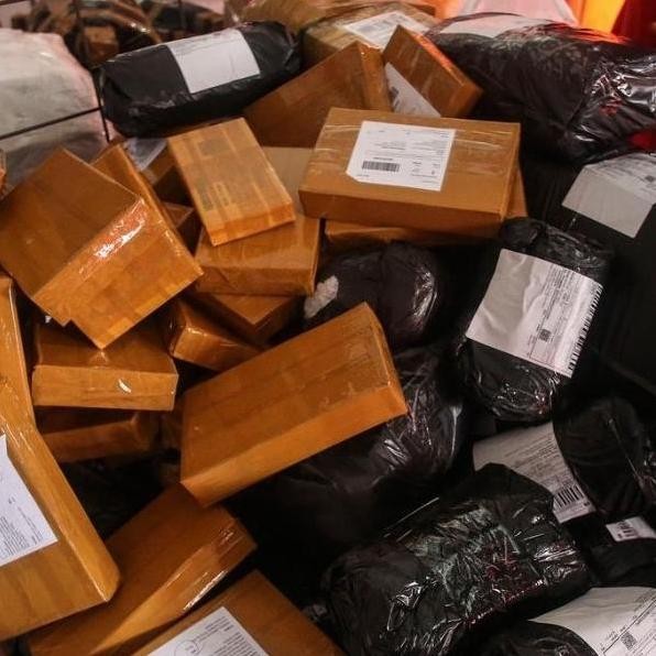 

Terlaris Bibit Sambiloto - Bibit Tanaman Herbal Jamu Paitan Tinggi 20-30 Cm