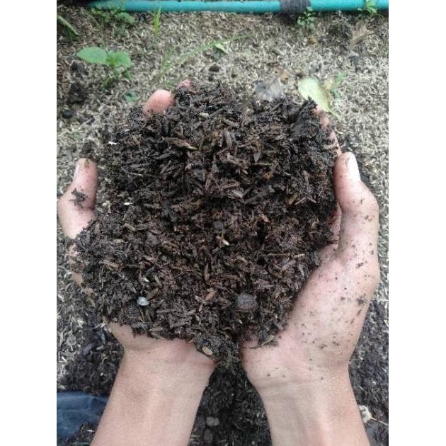 

Terlaris Media Tanam (Metan) Organik Siap Pakai 1Kg Komplit : Sekam, Tanah Subur, Humus, Dan Pupuk Kandang