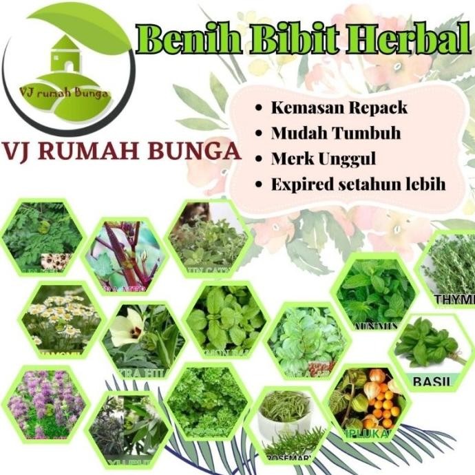 

Terlaris Pty_ Benih Bibit Herbal Benih Herb Daun Mint Rosemery Thyme Oregano Parsley