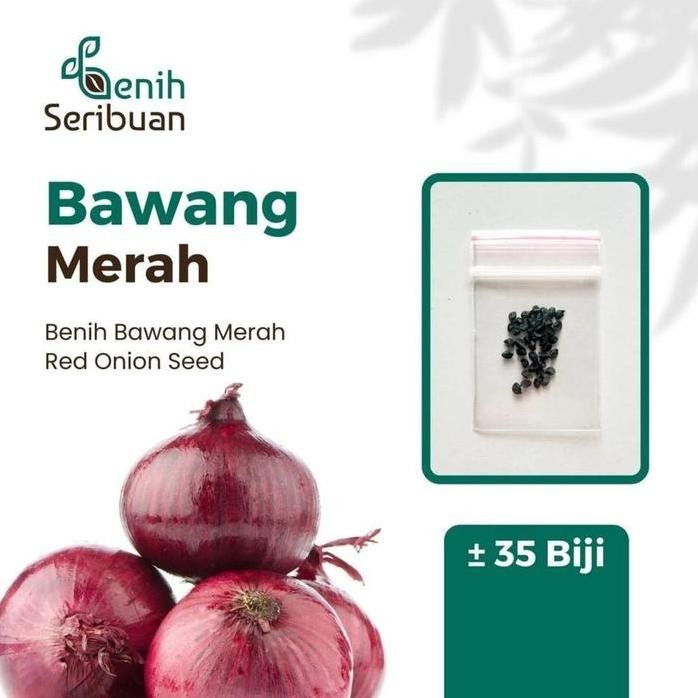 

Terlaris 35 Biji Benih Bawang Merah Lokananta Sayuran Cap Panah Merah Super Bibit Tanaman Sayur Unggul