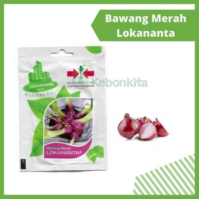

Terlaris Benih Bibit Bawang Merah Lokananta Cap Panah Merah