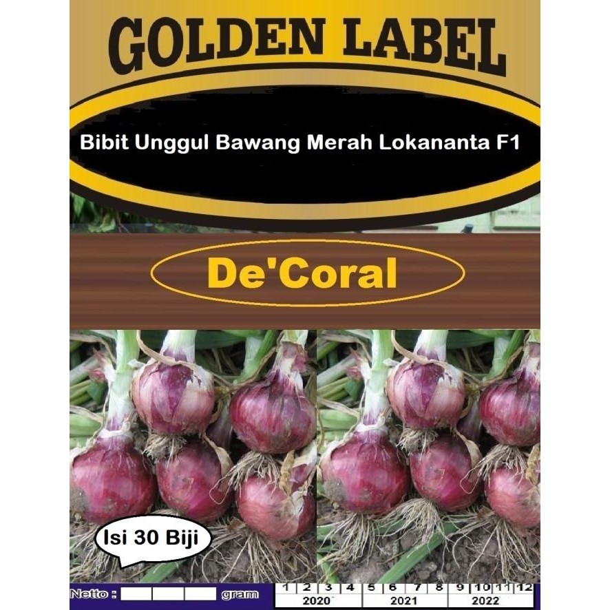 

Terlaris Ready Fresh Bibit Unggul Bawang Merah Lokananta F1 | Benih Bawang Merah Lokananta