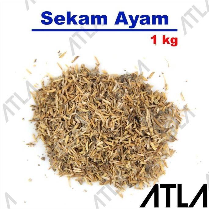 

Terlaris Mm'' Sekam Campur Kandang Ayam 1Kg Pupuk Kompos Media Kotoran Tanam 1 Kg