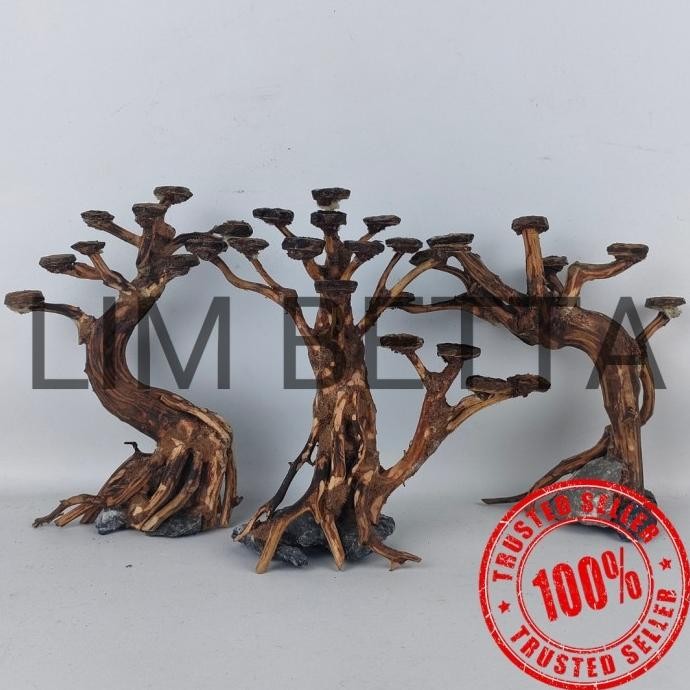 Terlaris Pohon Bonsai Aquascape 15 Cm / Hiasan Aquarium Aquascape Terlaris