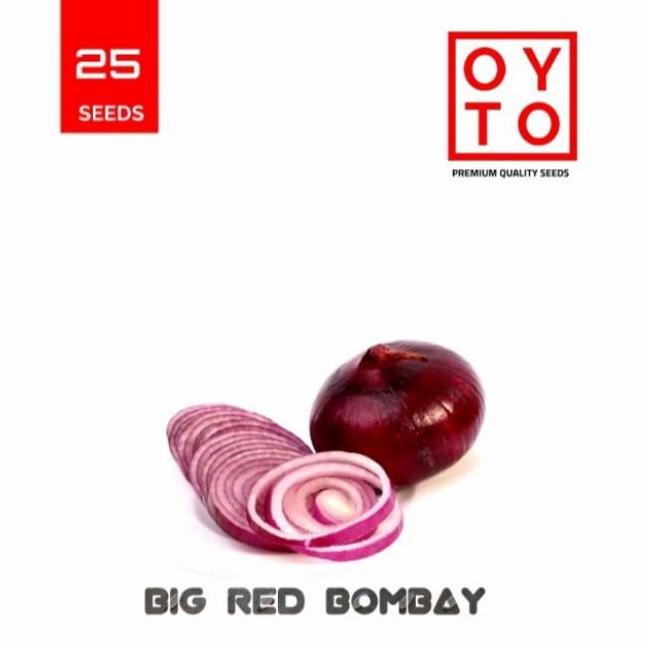 

Terlaris Benih Bawang Bombay Merah Bibit Sayuran Benih Tanaman Hidroponik