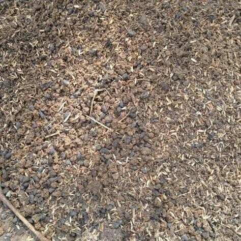 

Terlaris Media Tanam Sekam + Tanah + Pupuk Kandang , Per 1Kg
